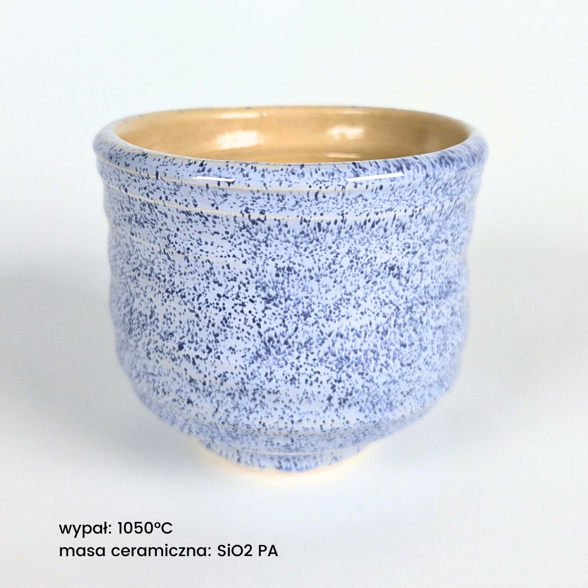 Ceramiq Viral Glaze Drozd Spiewak