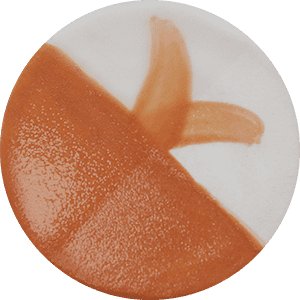 Farba Chrysanthos CC025H Nu Coral Café Color H 250 ml