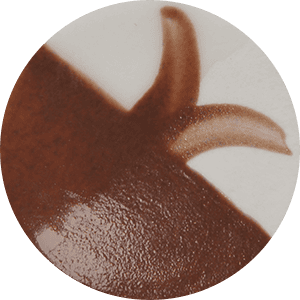 Farba Chrysanthos CC081H Red Gum Café Color H 250 ml