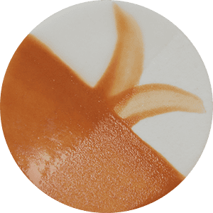 Farba Chrysanthos CC077H Mocha Café Color H 250 ml