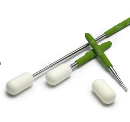 Replaceable sponge heads