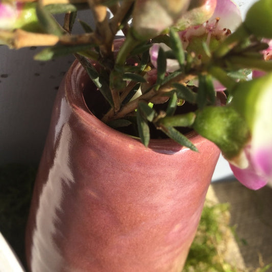 Botz 9530 Rose Marble Flüssigglasur - 200 ml