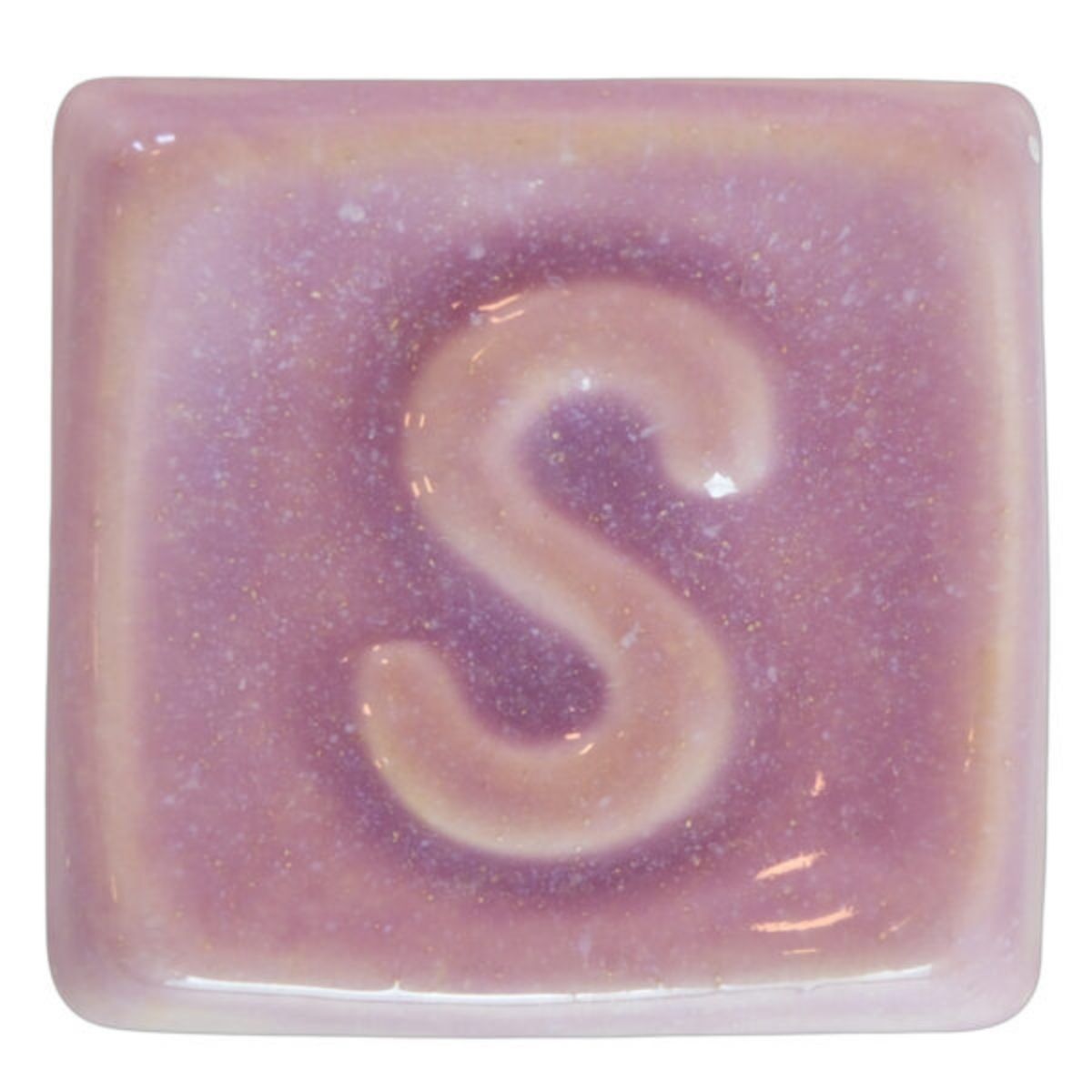 s1010_big.jpg