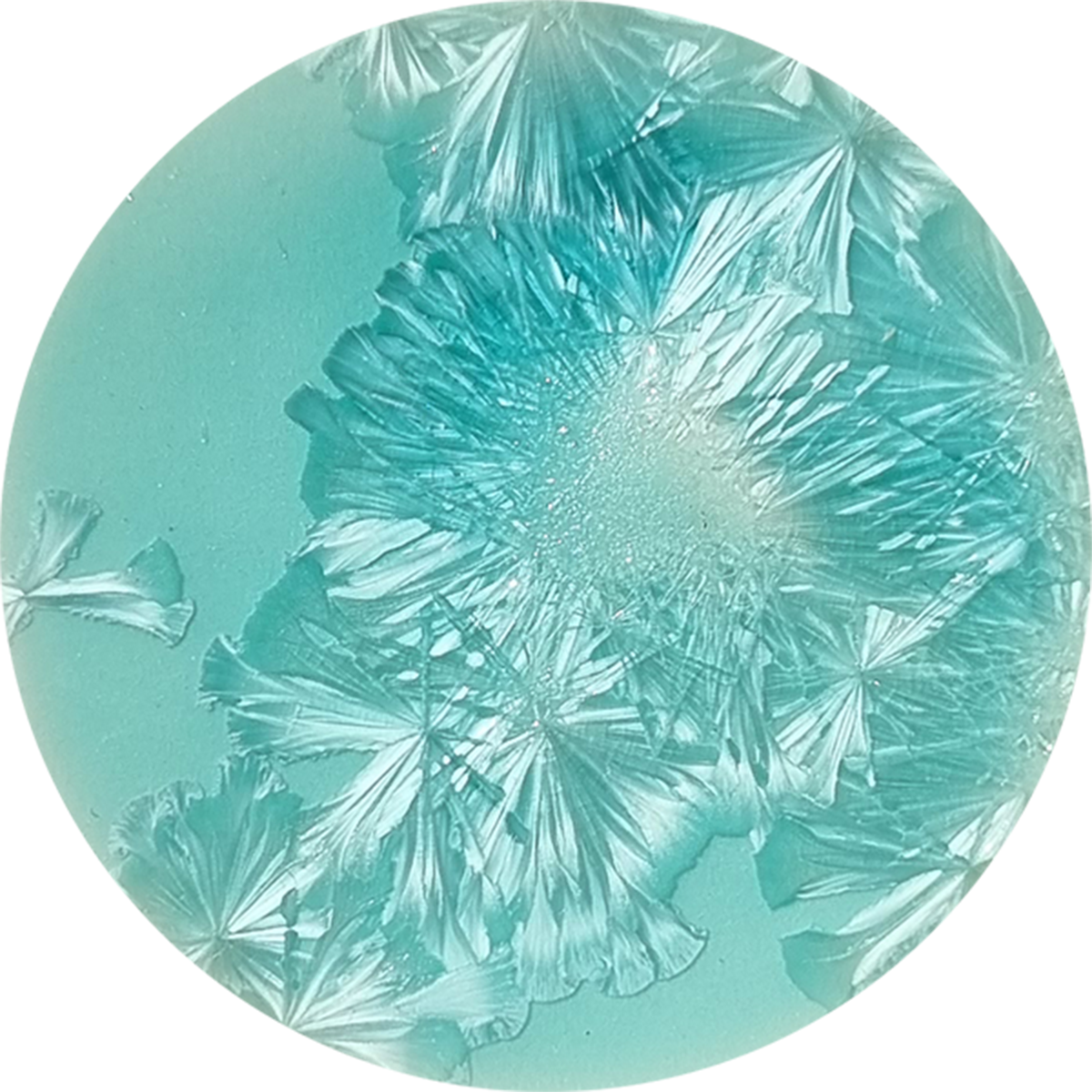 sn015_big.png