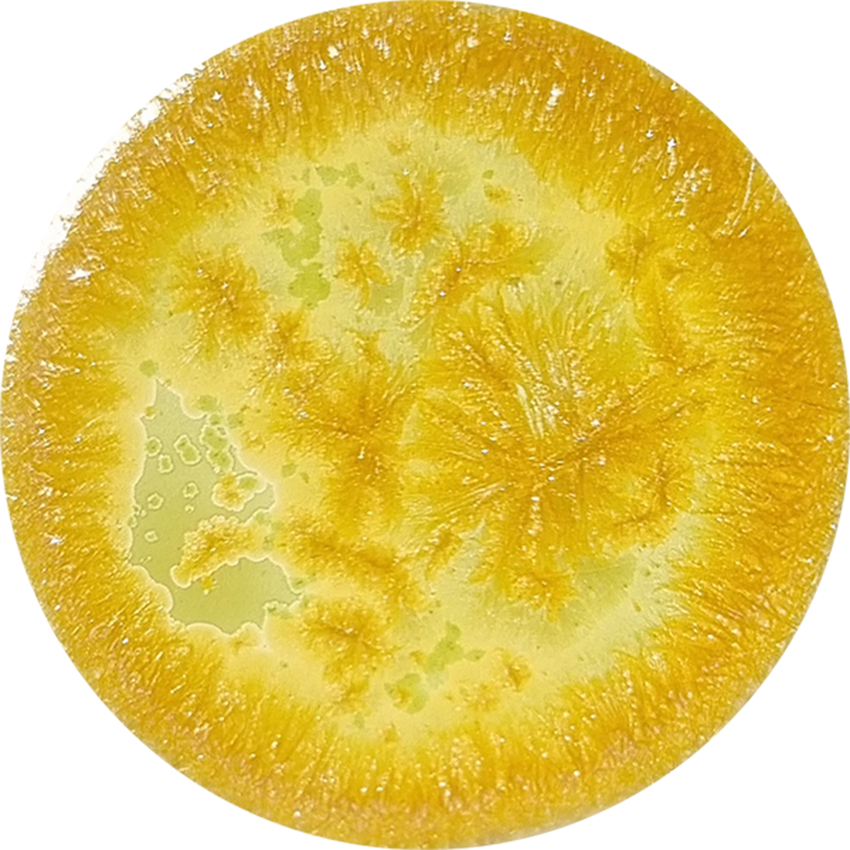 sn103_big.png