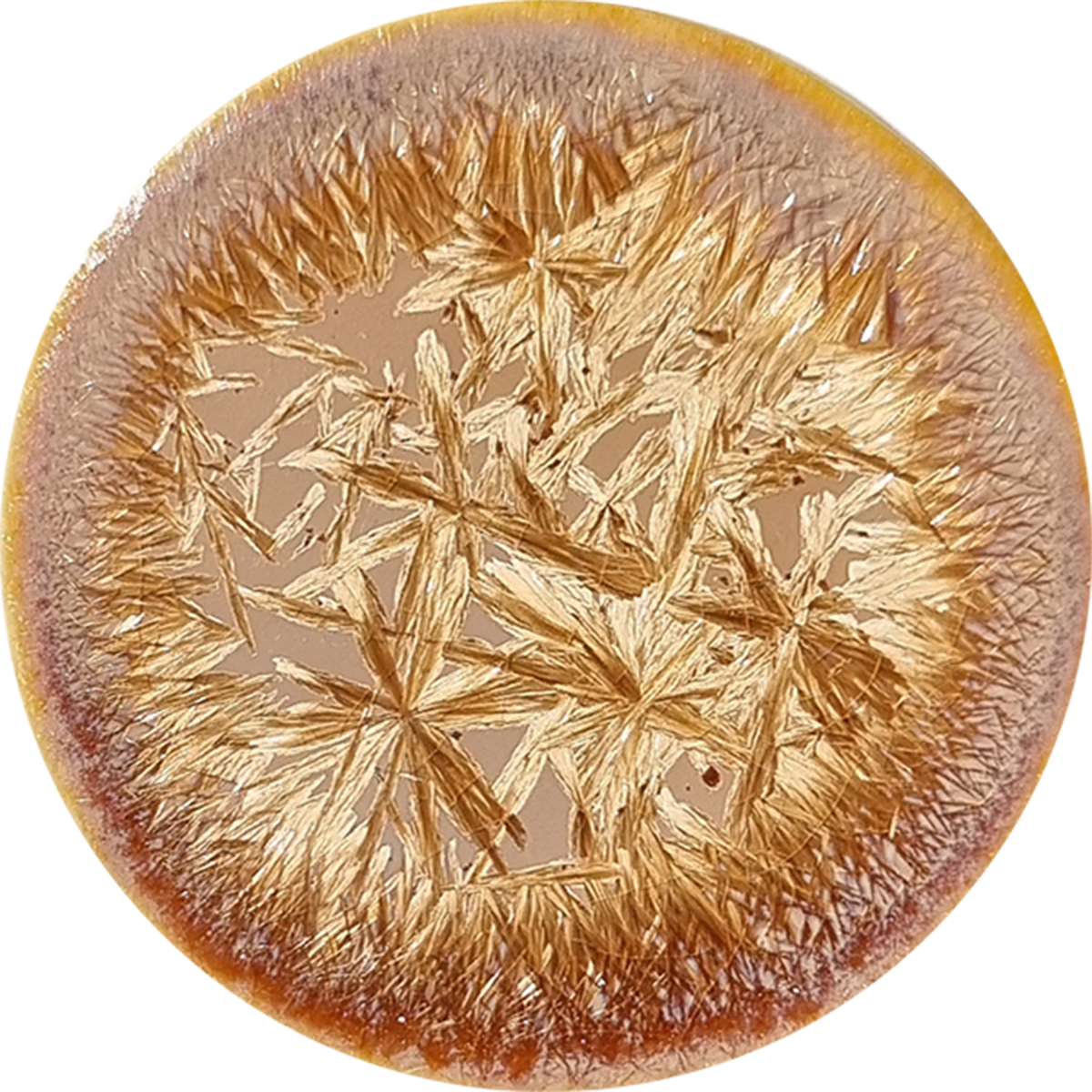 sn111_big.png