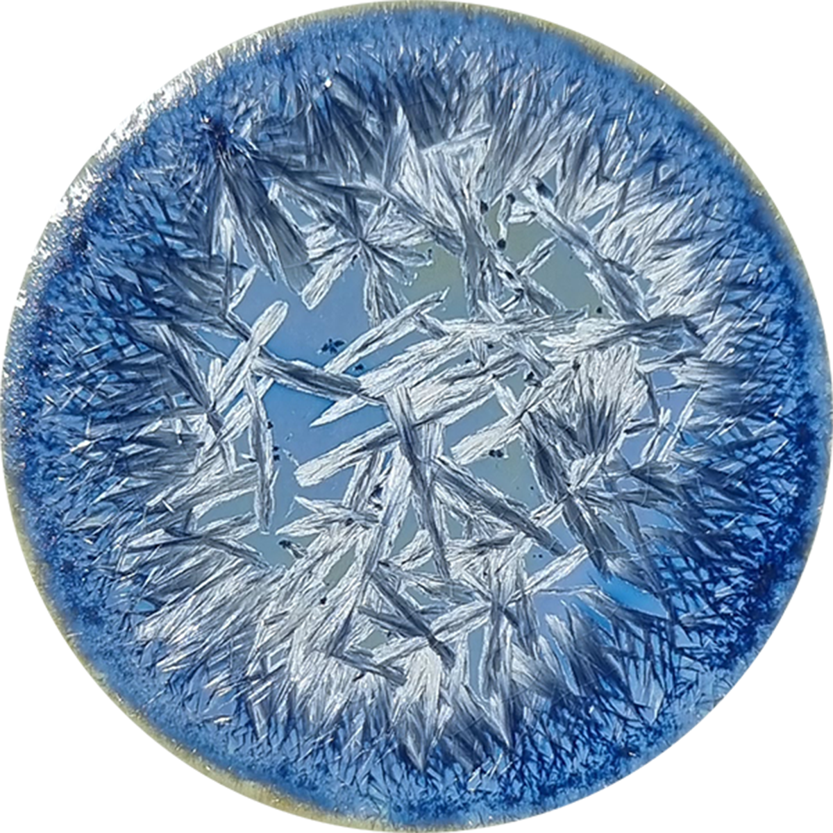sn113_big.png