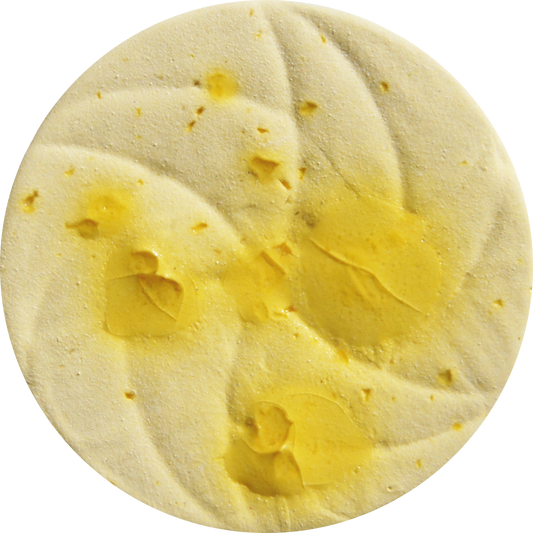 cr005_big.png