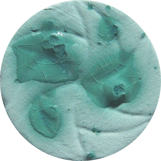 cr029_big.png