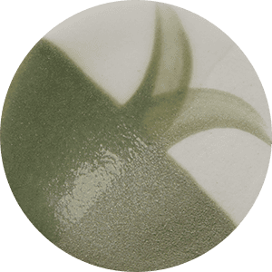 Farbe Chrysanthos CC143H Olive Era Café Color H 250 ml
