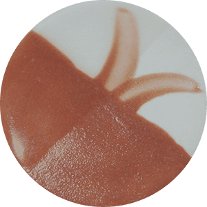 Chrysanthos CC073H Mousy Brown Café Color H 250 ml