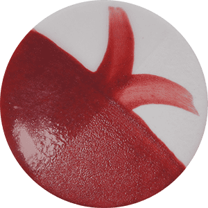 Farbe Chrysanthos CC065H Scarlet Café Color H 250 ml