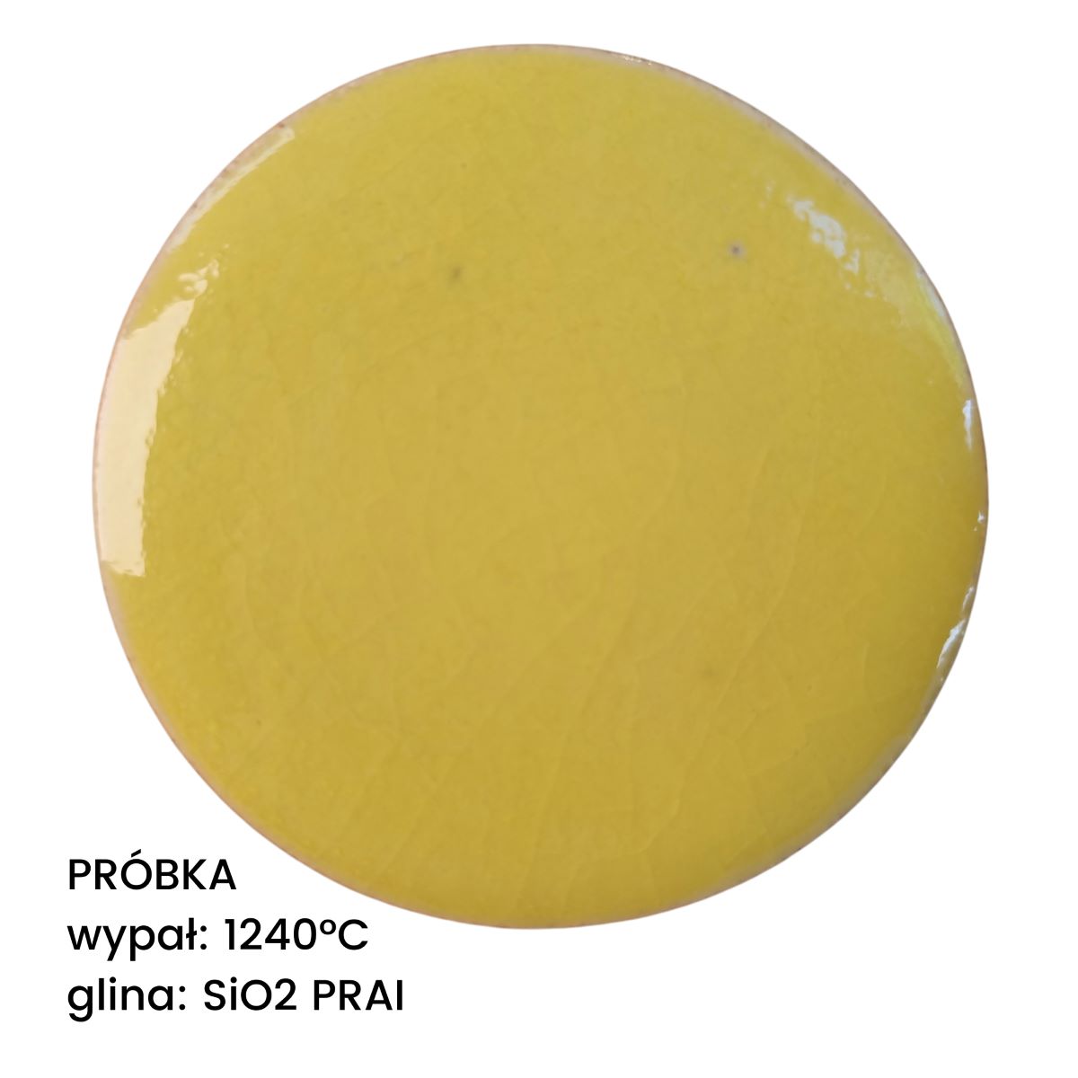 Ceramiq Viral Glaze Meadow Dandelion