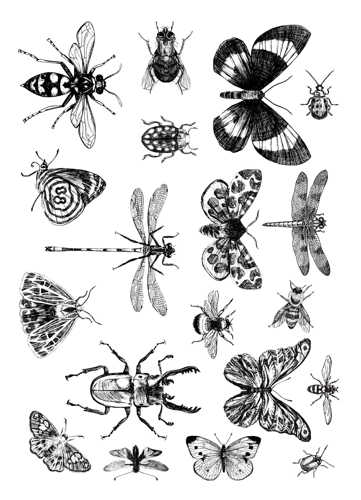 Ceramiq Insekten Überglasurpapier 