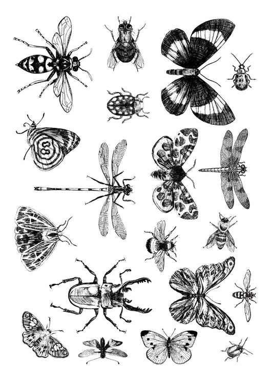 Ceramiq Insects Overglaze Paper 