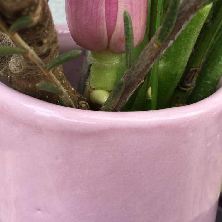 Botz 9561 Rosa liquid glaze - 200 ml