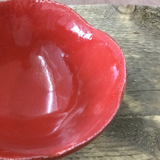 Botz 9602 Feurigrote Flüssigglasur - 200 ml