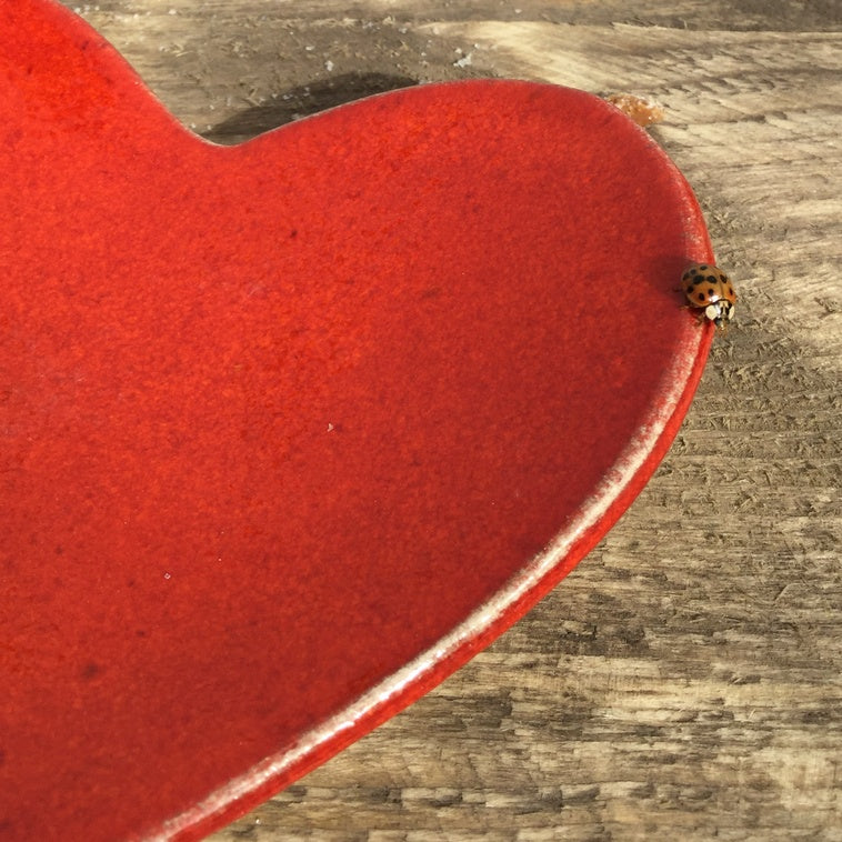 Botz 9607 Korallenfarbene Flüssigglasur - 200 ml