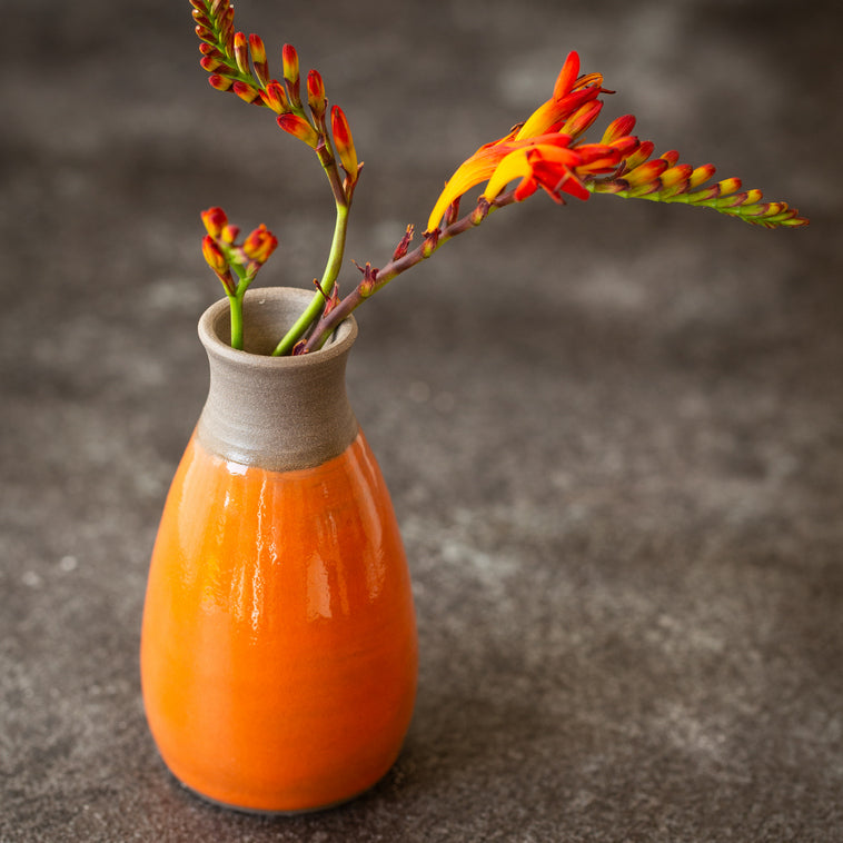 Botz Pro 9621 Feueropal Flüssigglasur - 800 ml