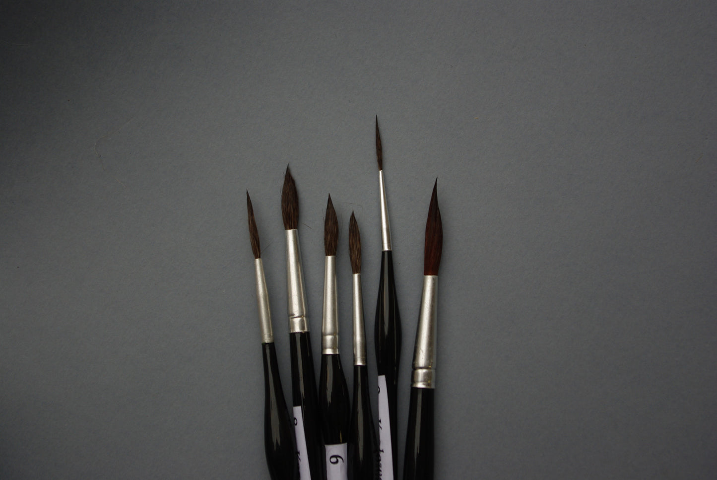 Squirrel brush cone no. 10 szleper