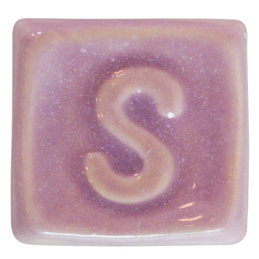 s1010_big.jpg