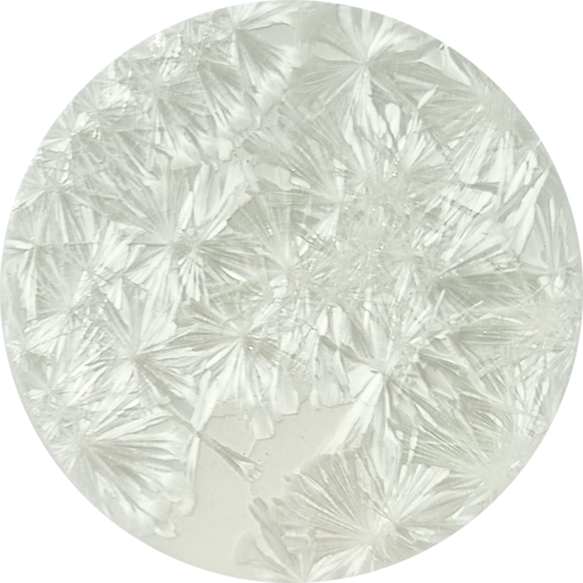 sn001_big.png