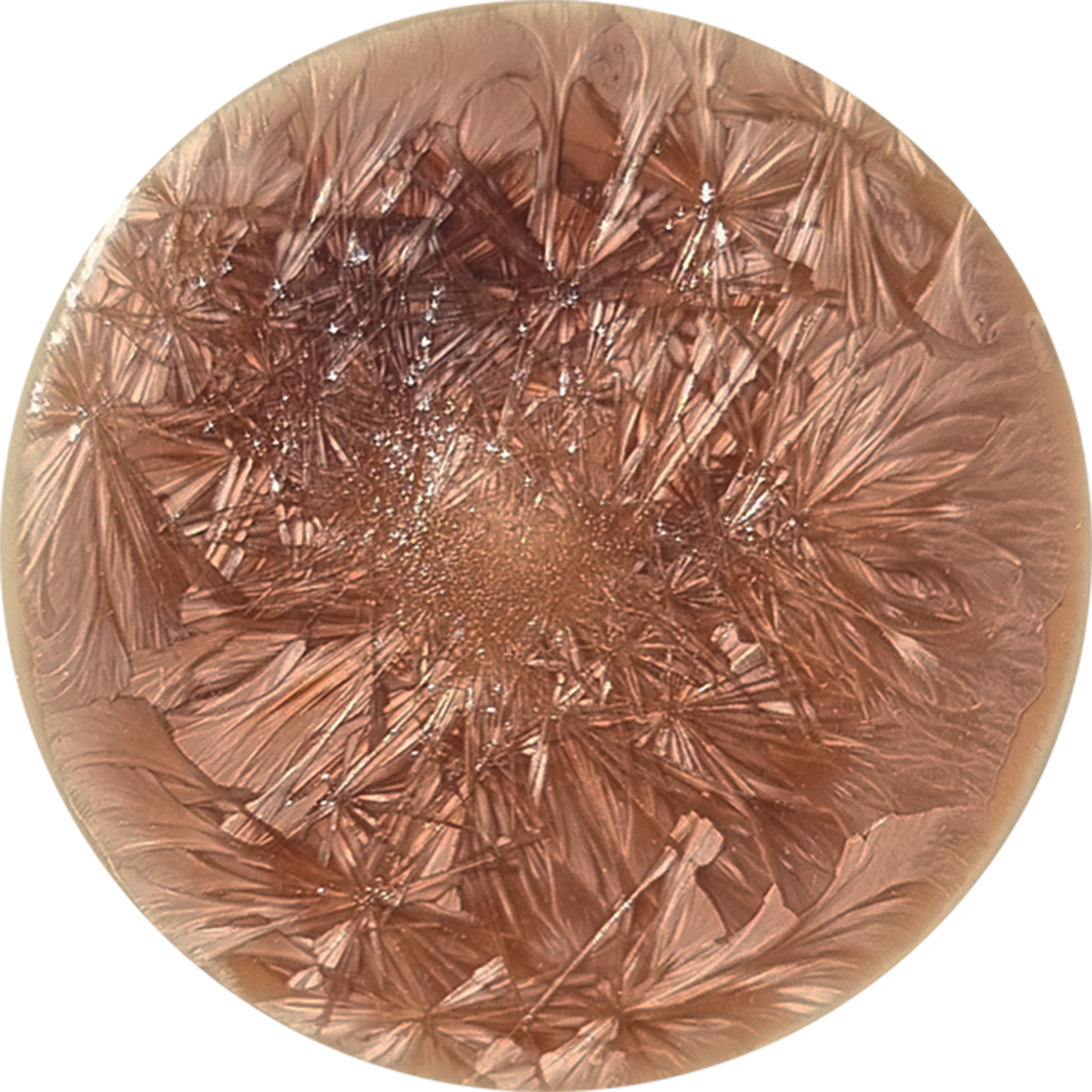 sn004_big.png