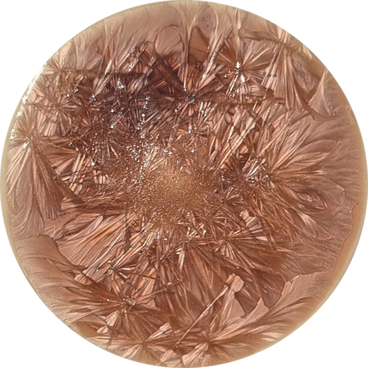 sn004_big.png