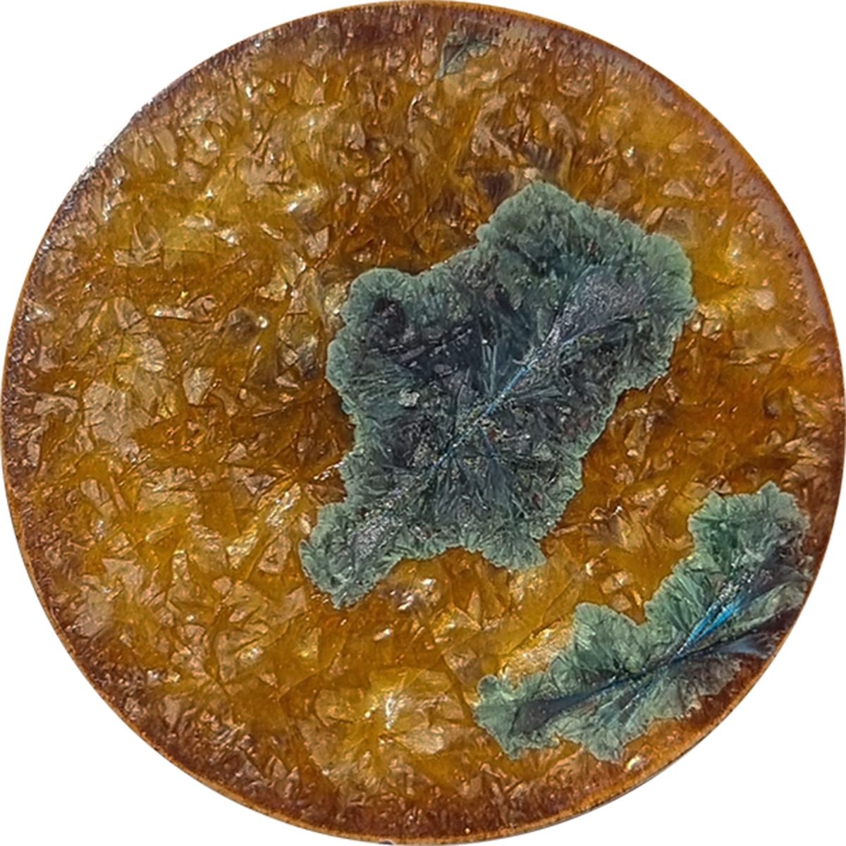 sn021_big.png