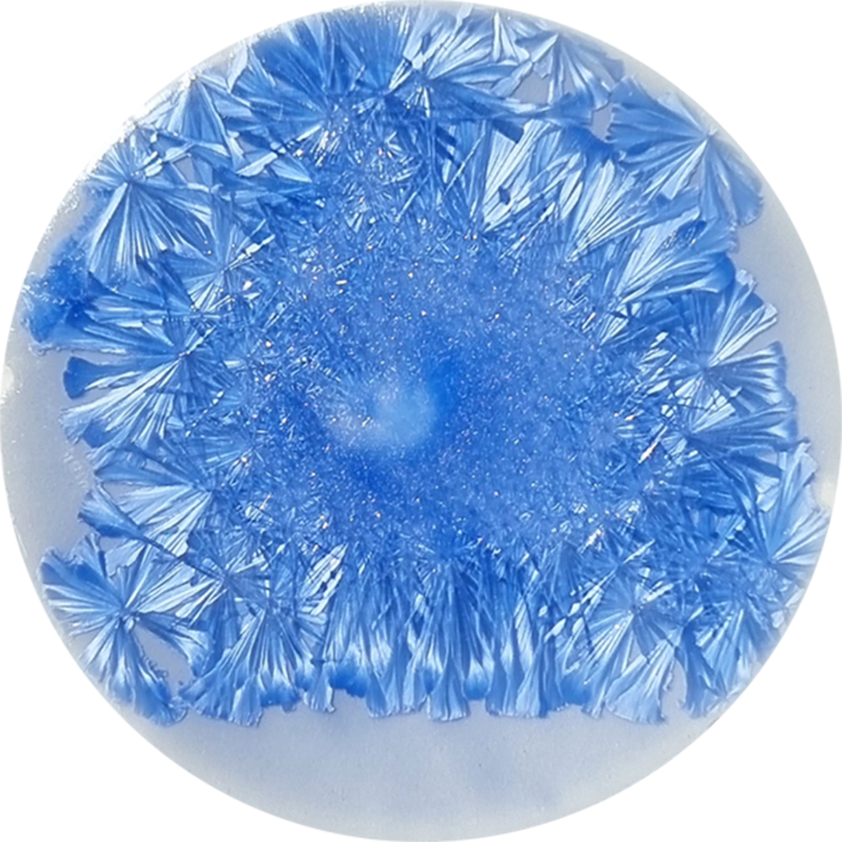sn025_big.png
