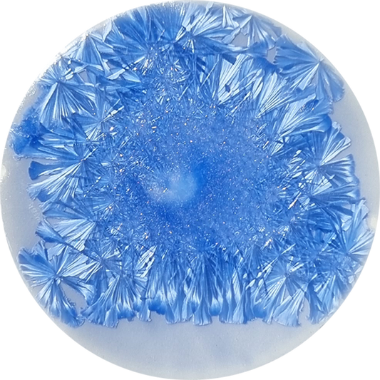sn025_big.png