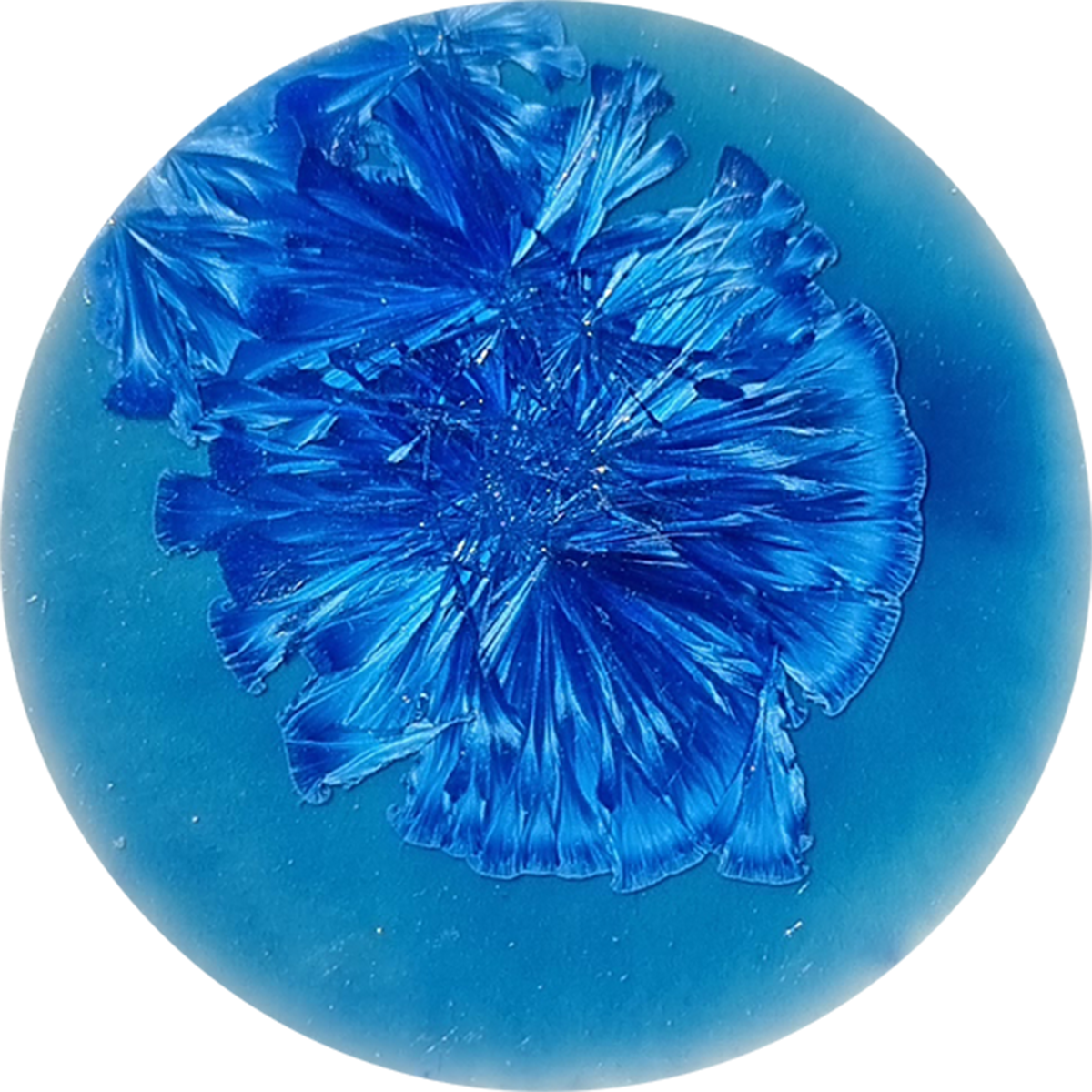 sn027_big.png
