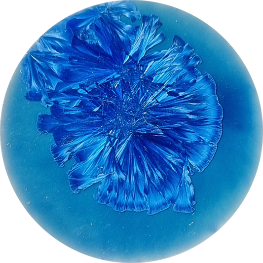sn027_big.png