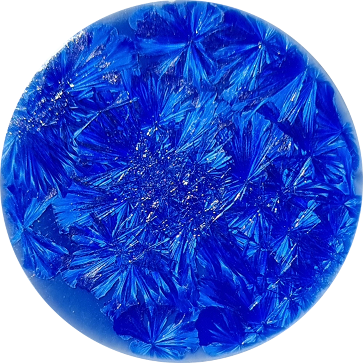 sn029_big.png