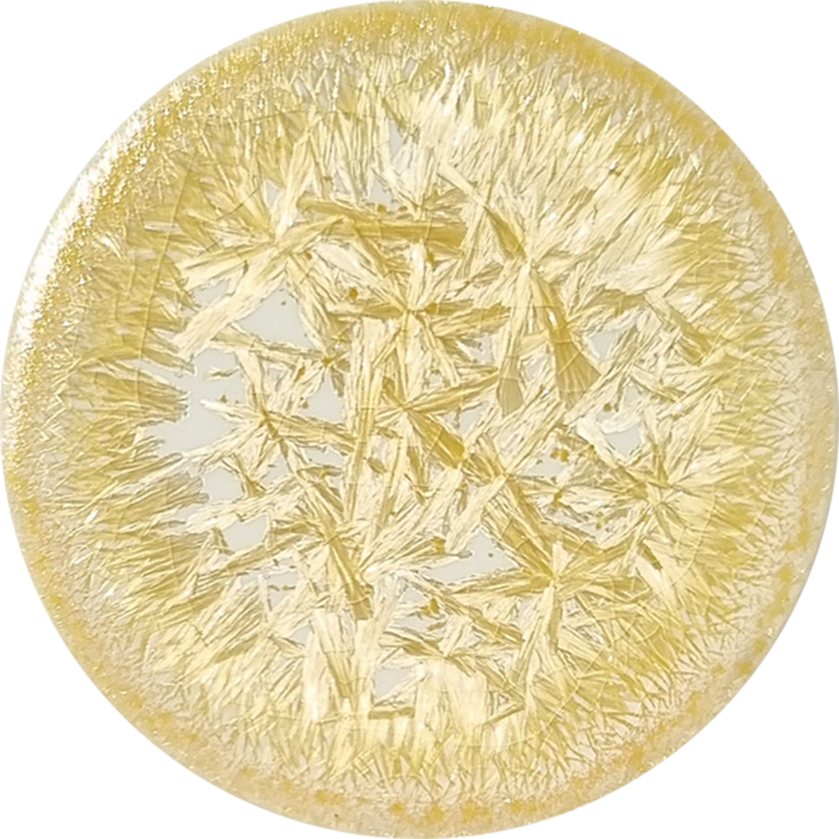 sn101_big.png