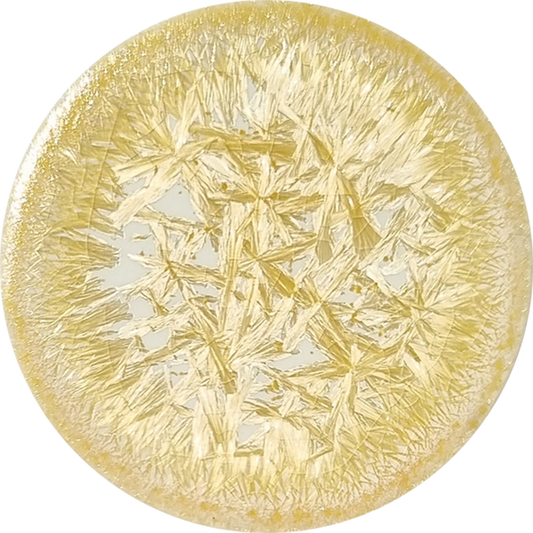 sn101_big.png