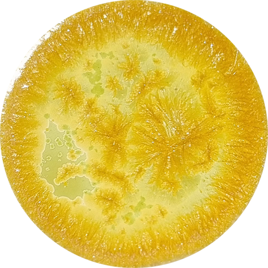 sn103_big.png