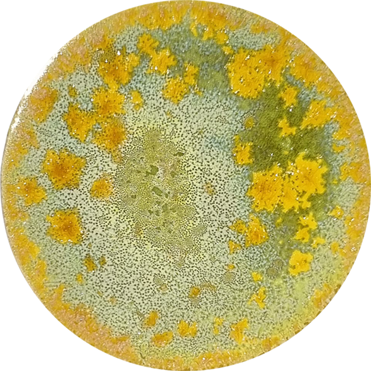 sn105_big.png
