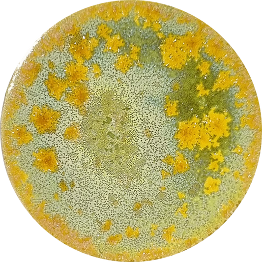 sn105_big.png