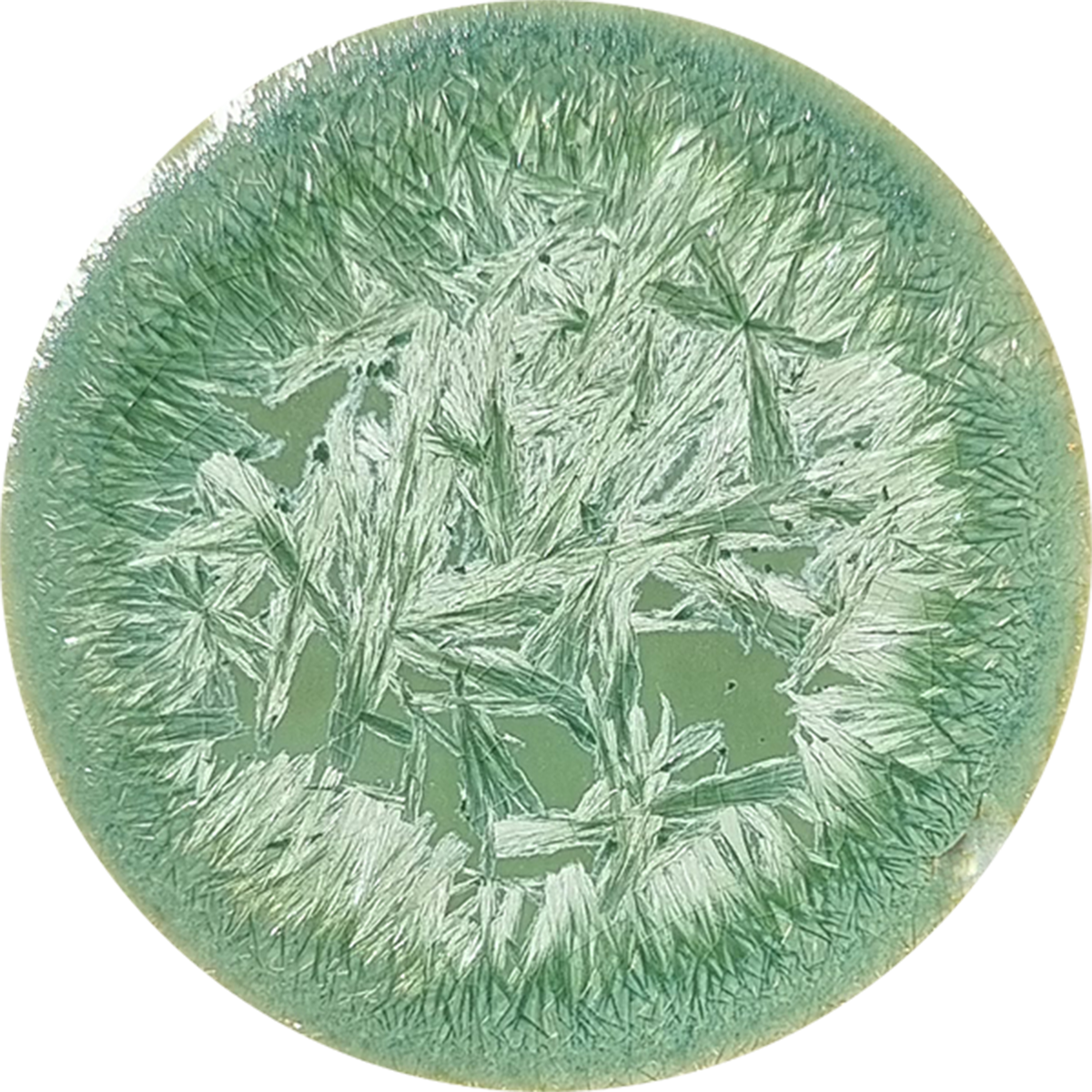 sn107_big.png