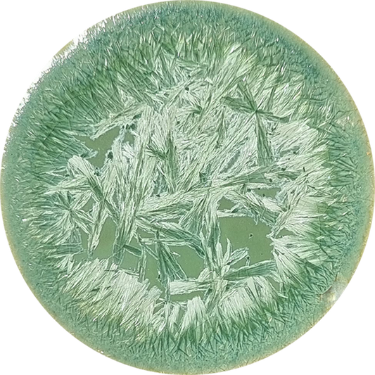 sn107_big.png
