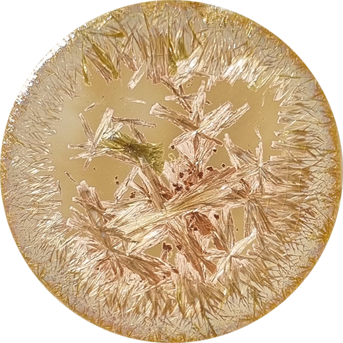 sn109_big.png