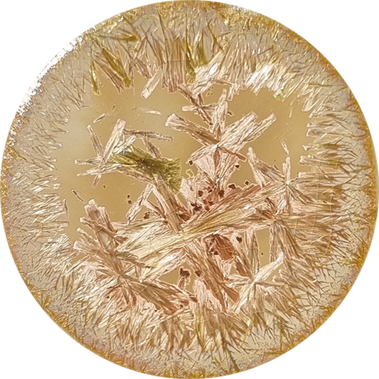sn109_big.png