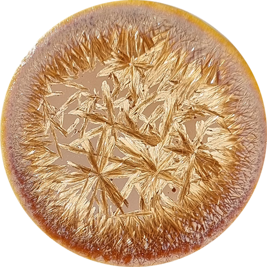 sn111_big.png