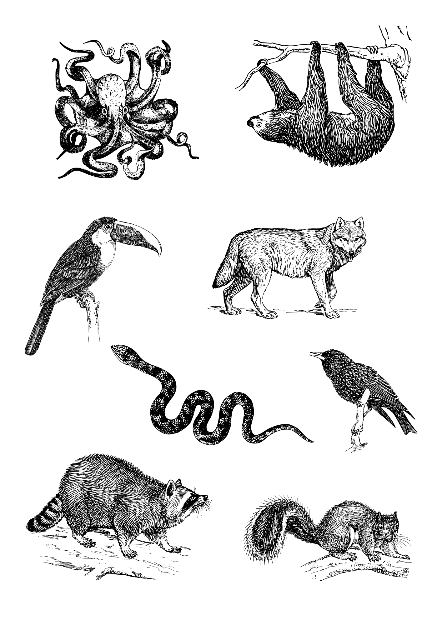 Kalka naszkliwna Ceramiq