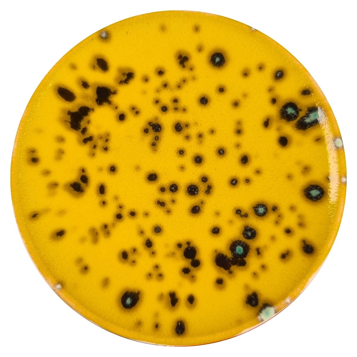 Ceramiq Viral Glaze Sun Crater