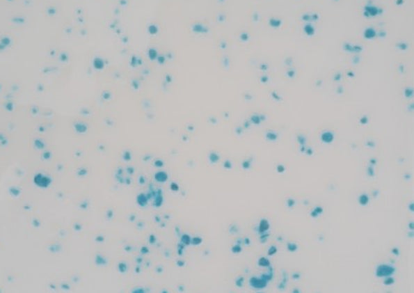 Float jasny niebieski drobny, 50 gr.